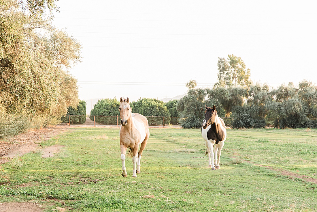 Jacques Ranch | Exeter, CA | Brendan & Heather | Laura Tavarez Photography