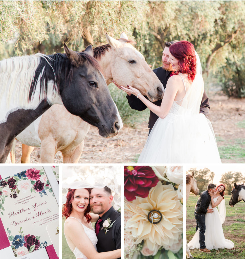 Bride & Groom with 2 horses | Burgundy flowers | Lace veil | Floral Invitation | Rings with Flowers | Laughing Bride with Groom and Horses.